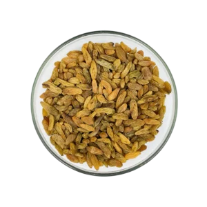 Green Raisin Afghan